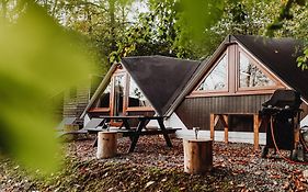 Chambre Avec Jacuzzi Ou Chalets Dans Les Bois